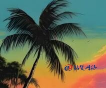 2025年國(guó)內(nèi)企業(yè)如何做好網(wǎng)站SEO優(yōu)化工作？